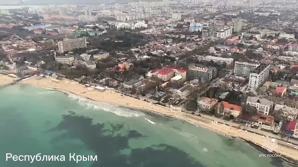 � ����� ������� ����� 181 �������� ������ �� ������