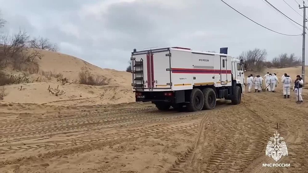 ��� ������ ������������ ���������� ���������� �������� �����������