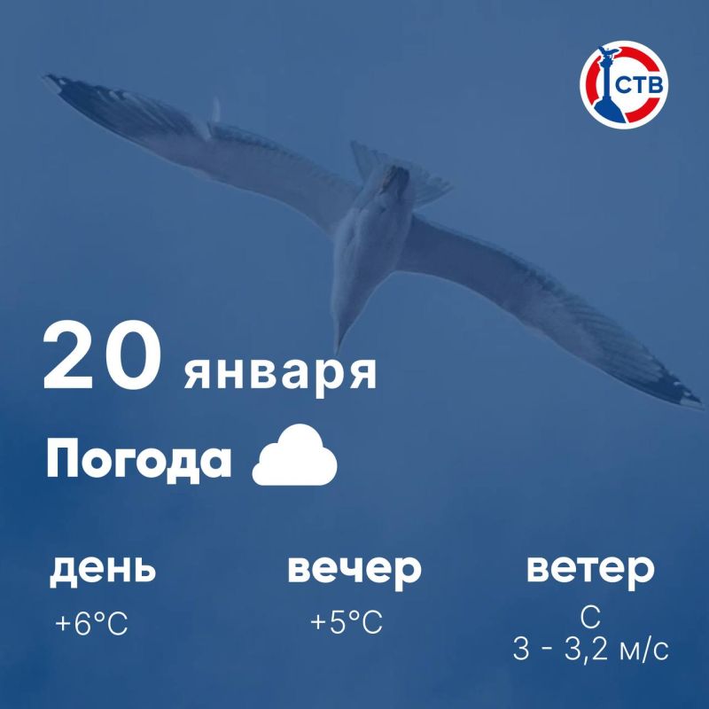 ������ ����, �����������!