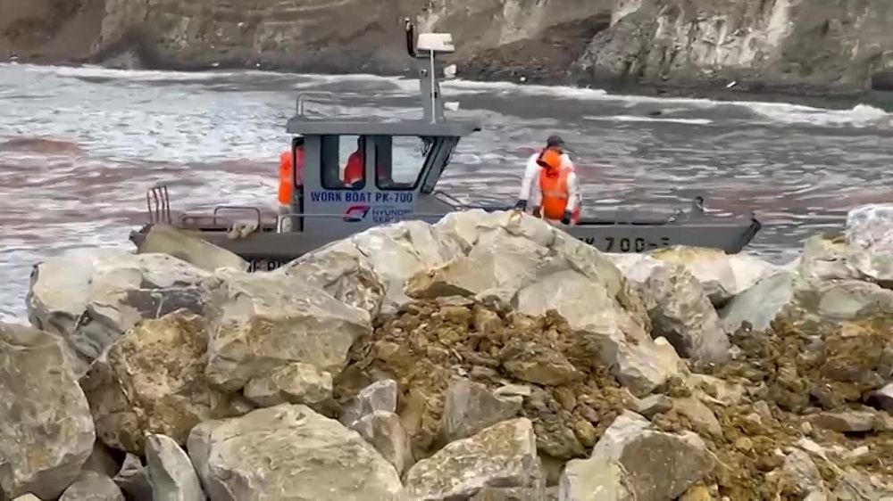 ������� ��������� � ������ ������ �� ���� ����� �����������-239 ������������ ���������