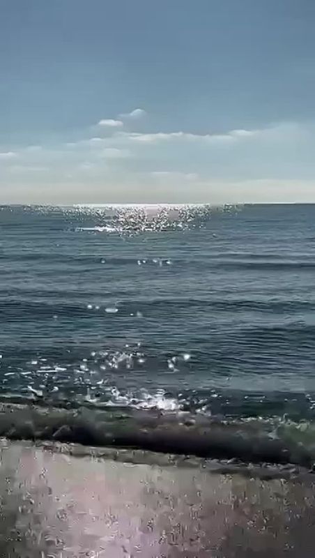 �� ����� ������� ������ �� ������ � ����� �� �������� �����������, �������� ����� ����������� ����, ��� ��������� �� ��� ��������� ��������