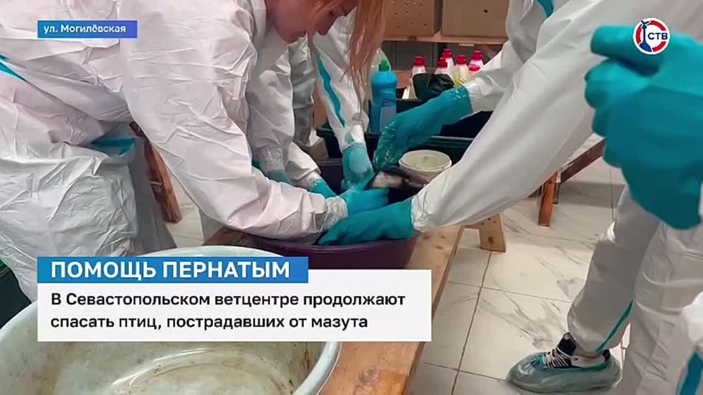 � ��������������� ��������� ������� ������ 36 ������, ������������ �� ������