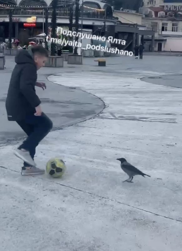 ����� ������ ������� � ������ � ��������� � ����