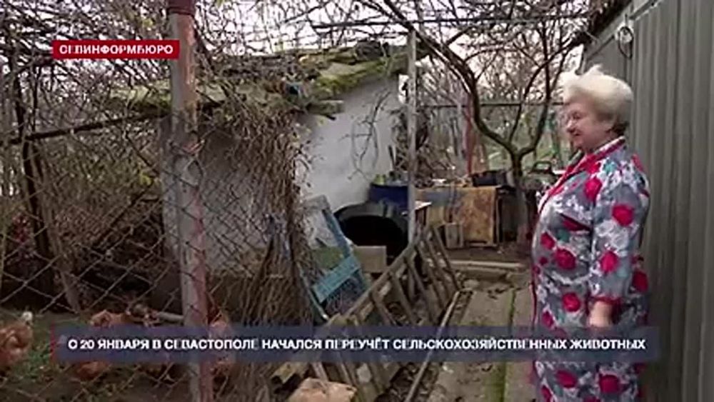 � ����������� ������� �������� �������������������� ��������