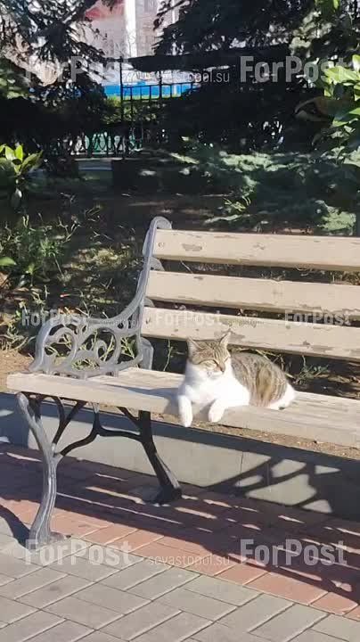 ������ ���������� �������� �������������� ������