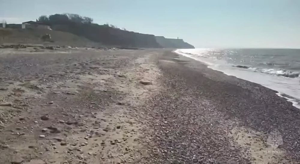 ������������� ��������� ������� ������ �� ������� �����������-239�