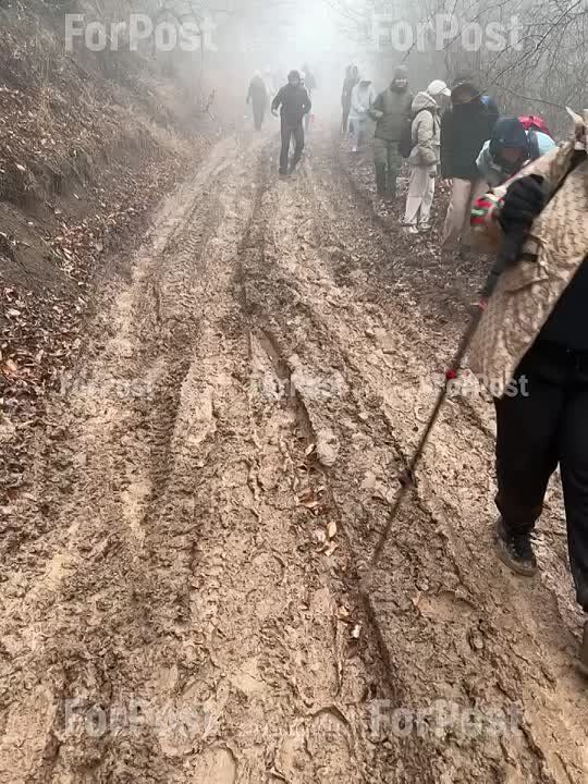 ������ �������� �������� � ����� ��� �� ��