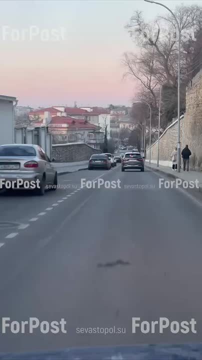 �������� �� 4-� ���������� ������������