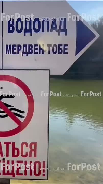 #���_�����. ������� �������-����. ������ � ����������, ������� � ���� ����������� ������ �������. ���������� ��� �� 100 ������/���� ����������� ForPost