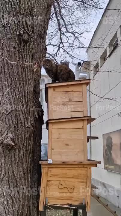 ������ ��� � ������ ����������� �������� ��������