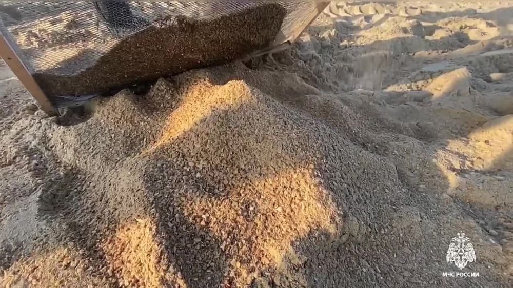 � ���������� ������� ������������ ������ �� ������� ������������ �������� ���� � ����