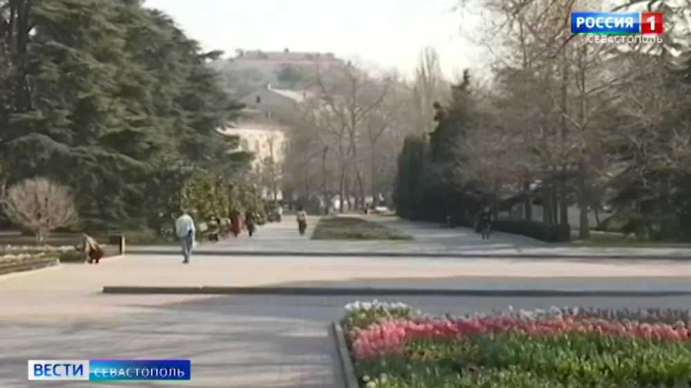 ����� �����������. ������ 9:30. 30.01.2025