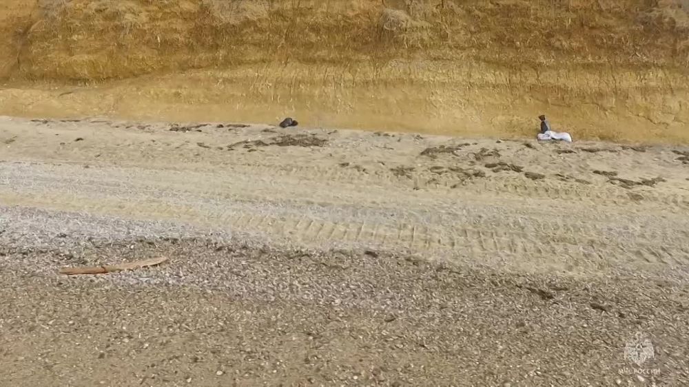 � ���������� ������� ������������ ������� ������������ �������� ���� � ����