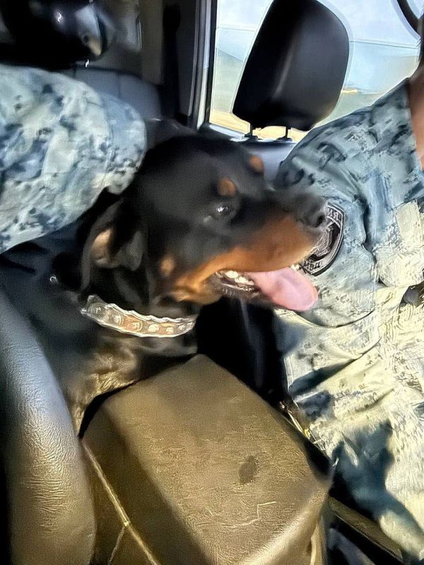 ������, �������!. ��������������� ������� ���� ������� ������������ ������