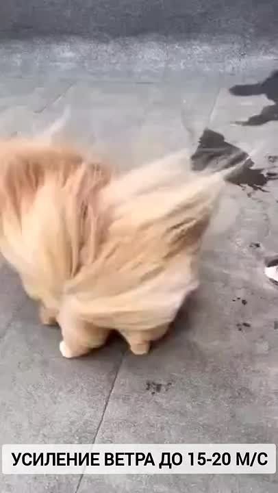 ��� ������������� �� �������� ����� �� 15-20 �/� � ������� ������� � ������