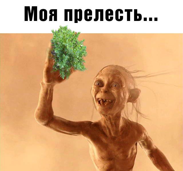 "��������� ������ ������� �����" ����� ������������ � ������� ������� ������� �������� � ������