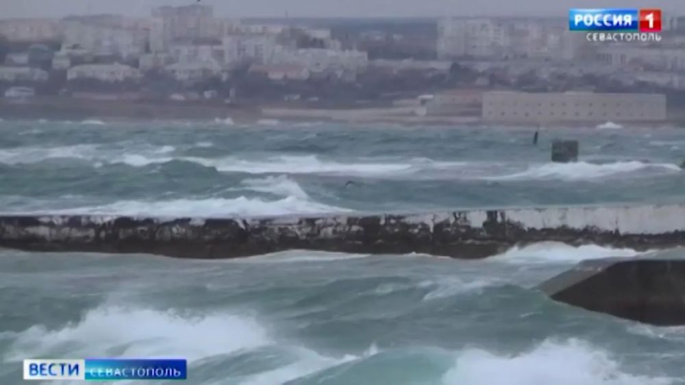����� �����������. ������ 9:30. 5.02.2025