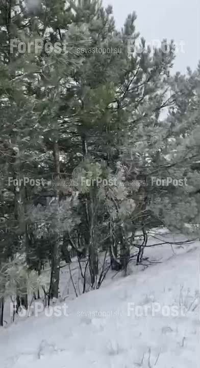 � ����������� ����� ��������� ��������� ��������������