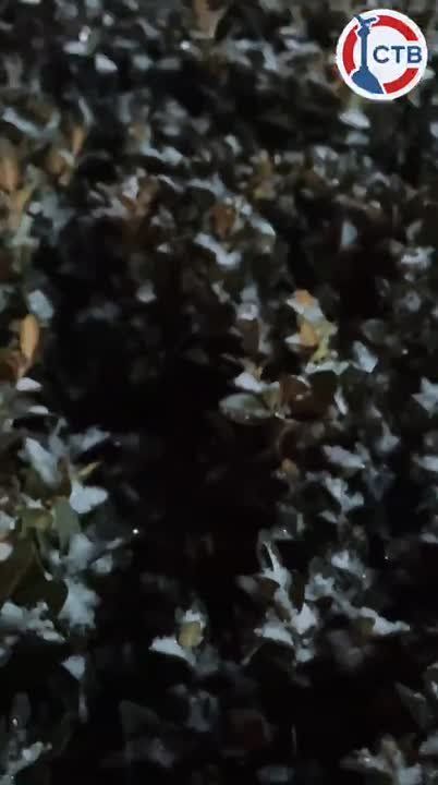 � ����������� ��������� ������� ����