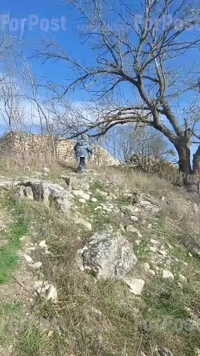 ���������� ������� �������� ��������, ������� ������������ �� ������� ���� ����� ������ �����, � VI ���� �� ����� ��� �� VI ��� ��� ����� ���