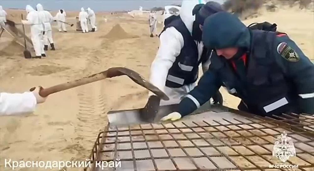 � ��������� ������� ���� ������� 356 ������ � ��������� ��������