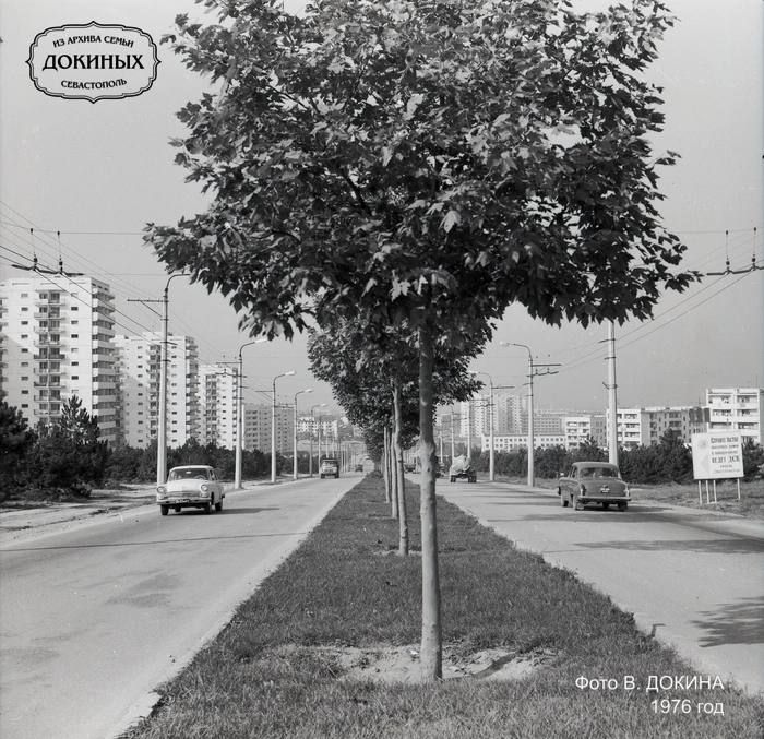 �� ��������� �������� ���������, 1976 ���