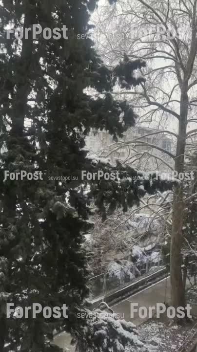 � ���� ������ ������. �� ������������� �� ���� �� ����
