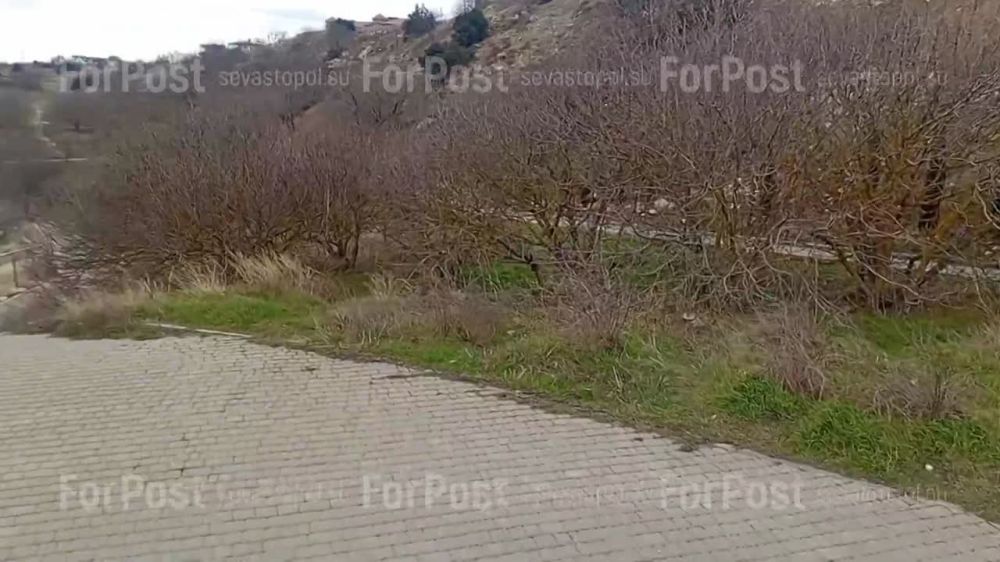 ��� �������, ��� ����-����! �� ����� �������� ������ ������