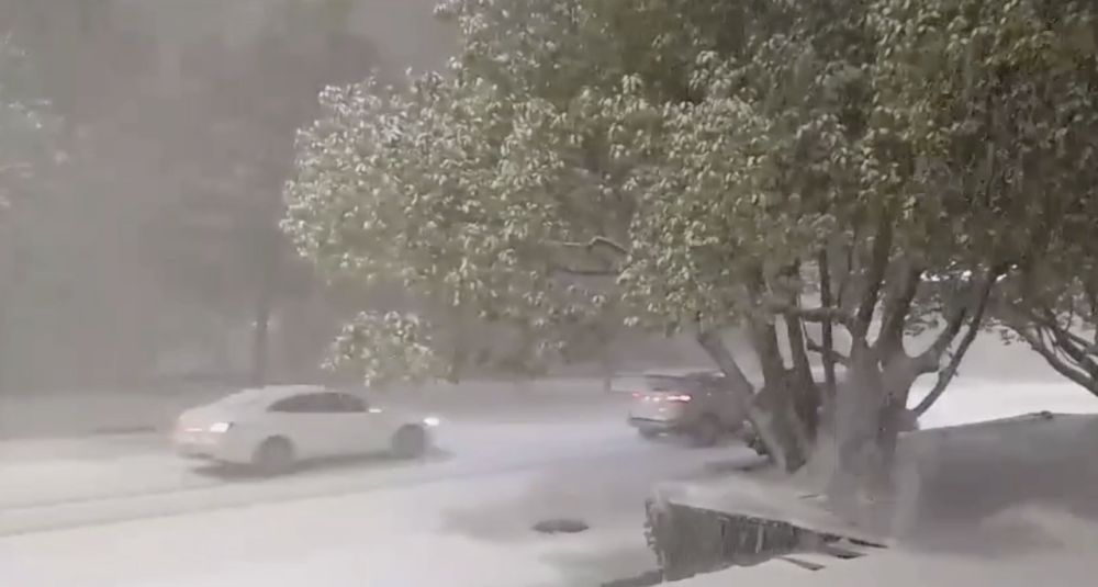 ������� �����������: � ���� ������ �� 25 �� �������