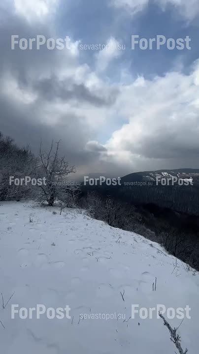 � ������� ������-��� � ���� � ���������� ������ ����������� � ����������� �������� ��� ����� � �� ����������� ������