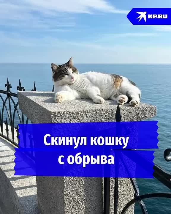 ������ �������, ������� ������� ����� � ������ "���������� ������", ��������� ��������� ����