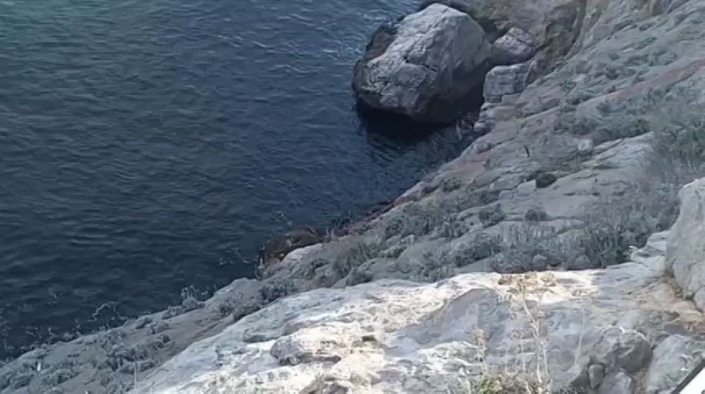 ��������� ����� ���� ������� ������ �����������