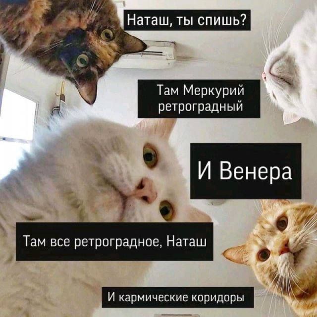 ��������� ���������� "�������� �����������" � �����