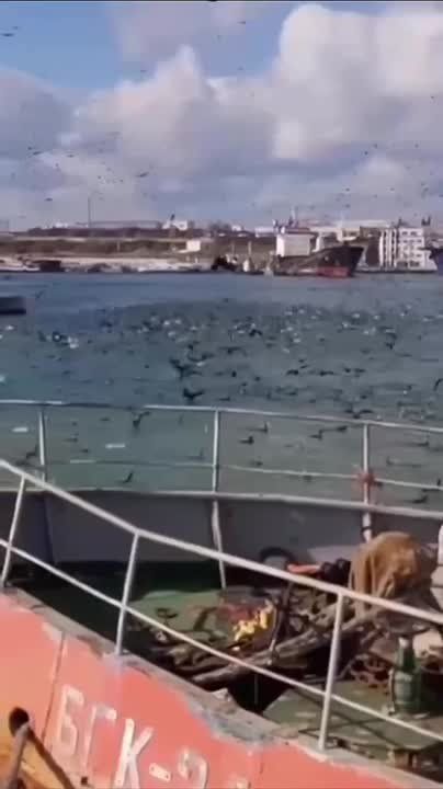 ���� ������� � �������� ����� � �������� ���������� ������ � ��������� �����