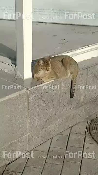 27 ������� � ����������� ���������� ����������, ��� �������
