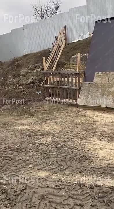 �������� ����� ������ ����� ����� ��� � ����������� � �������� ��������� ���������, �� ������������� �� ��������� ������������ ����� � �������� ����� ��� �������� ������������