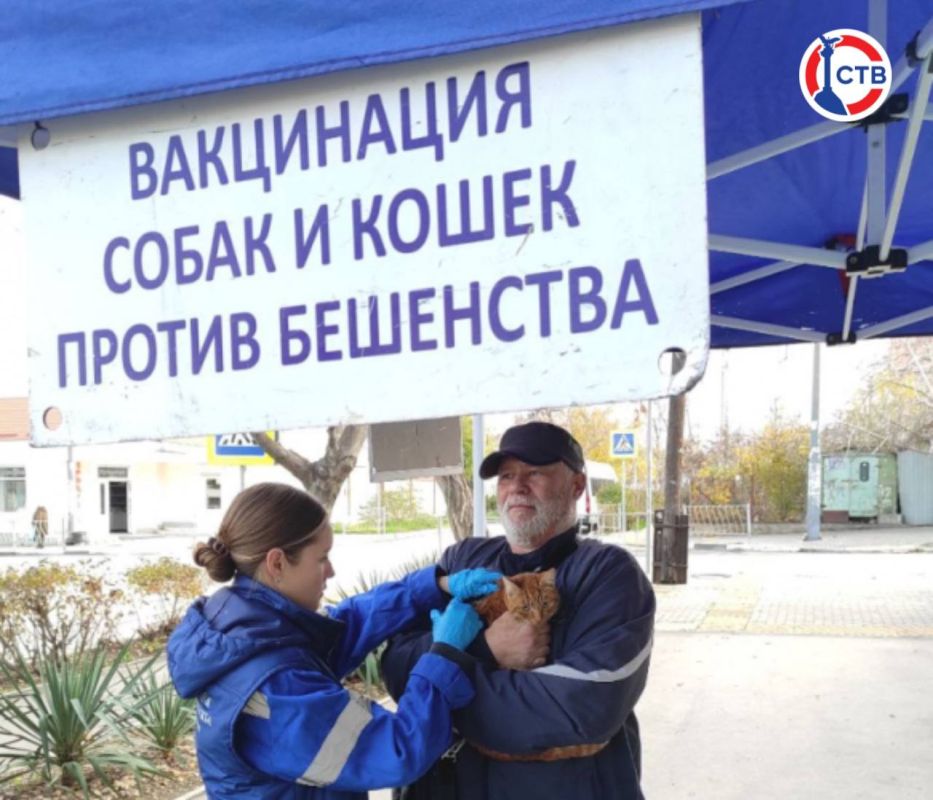 � ����������� ������� ����� ����� ��������� ��������� ����� � ����� �� ���������