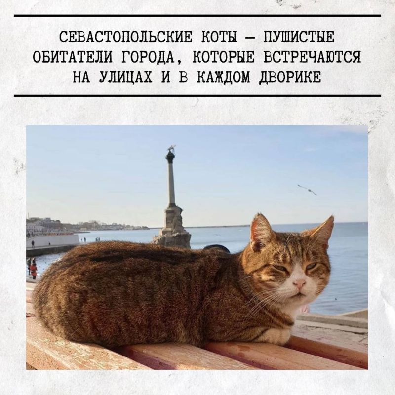 1 ����� � ���� ����� � ������