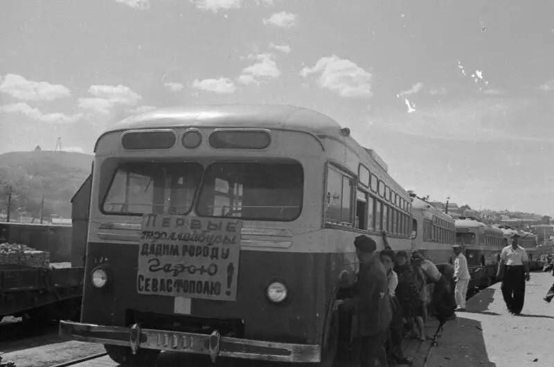 � ����� �� �������� ������ ������� ������ �����������, 1950 ���