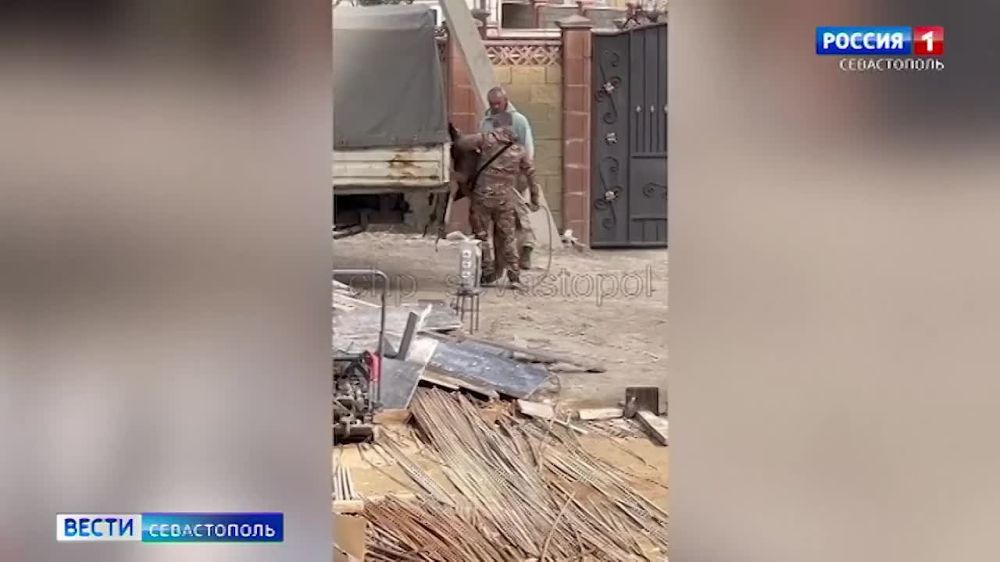 ������� ����������� �������� �������� �� ����� ��������� ������ �� �������.