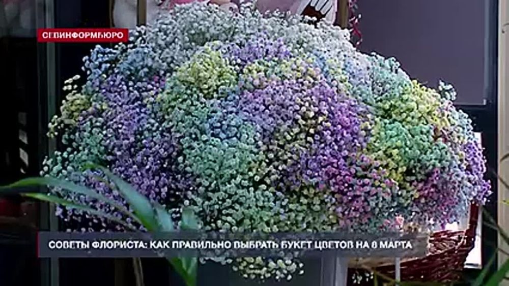 ������ ��������: ��� ������� ��������� ����� �� 8 �����