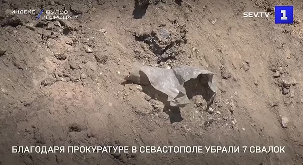 ���� ������ ������������� � 2024 ���� ��������� ������ ��������������� ����������� ��������������� �����������