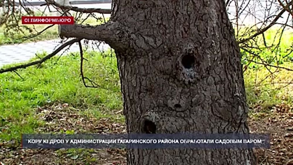 ���� ��������� ������ � ������������� ������������ ������ ���������� ������� �����