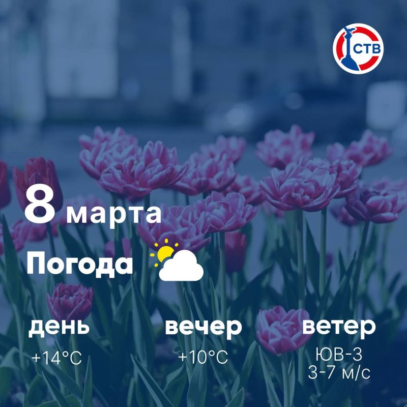 ������ ����, �������������! �������, 8 �����, ��������� ������� ��������� ������