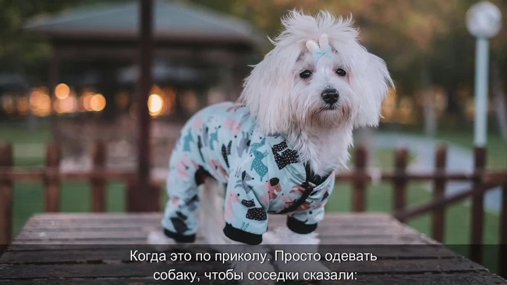 ���� ������������ �������� �� ������ ���������� ��� ������, ��� ������, ��� ��� ������������ ������?