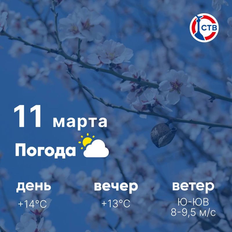 ������ ����, �������������! �������, 11 �����, � ������ ���������� ����������