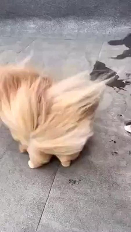 �� ������ ��������� ���������� �� ����������������� �� ������ �������� ��� � ������ 12 ����� � ����� ��������� �������� ���-��������� ����� 17-22 �/�