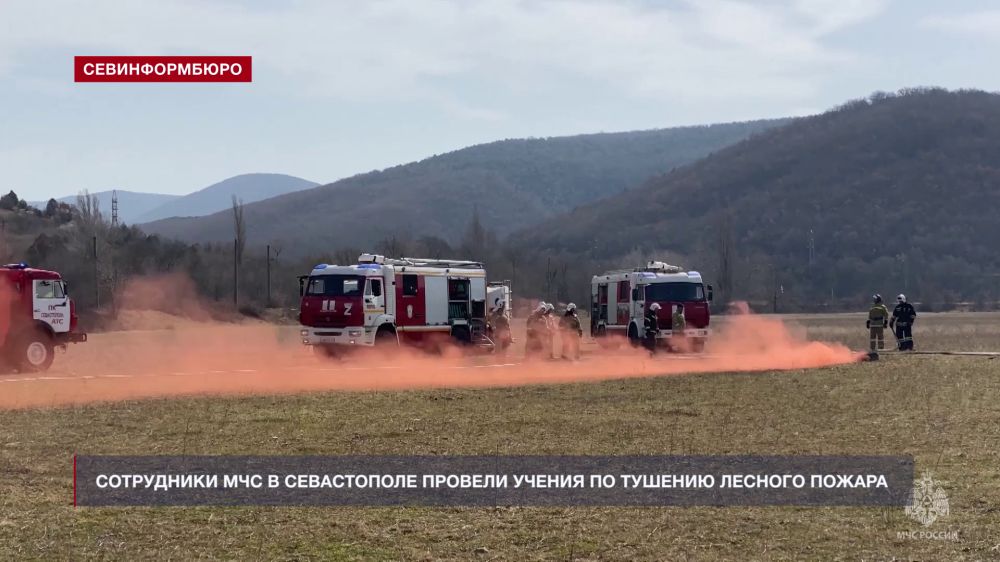 Условное возгорание в лесу потушили сотрудники МЧС в преддверии пожароопасного сезона