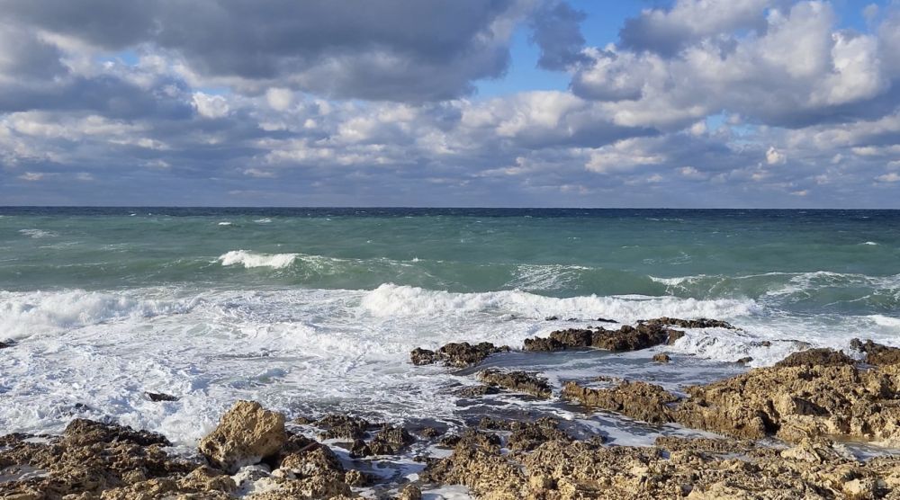 ��� ���������� ׸����� ���� ���� ���������� ����