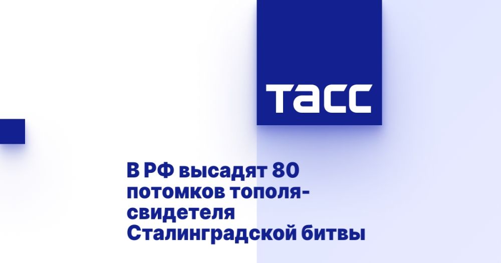 � �� ������� 80 �������� ������-��������� �������������� �����